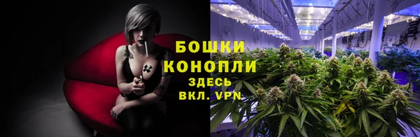 соль ск Белокуриха