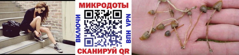 Псилоцибиновые грибы мицелий  хочу наркоту  Мглин 